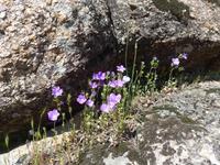 Türkei, Wanderung von Gölyaka zum Kloster