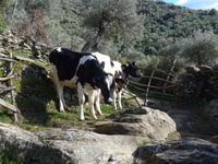 Türkei, Wanderung von Gölyaka zum Kloster