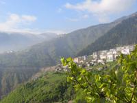 Artvin