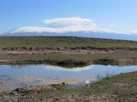 Ararat am Morgen