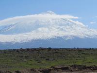 Ararat am Morgen