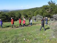 Morgenspaziergang bei Doliche