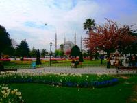 Sultanahmet - Blaue Moschee 