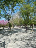 Park am Taksim Platz