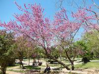 Park am Taksim Platz
