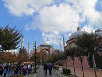 Aya Sofia