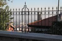 Bursa