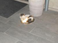 Ein warmer Platz