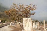 Ephesus