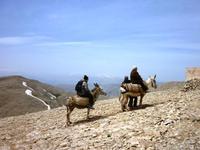 Eselsritt auf die Bergspitze, Nemrut Dagi