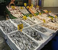 Fisch in allen Varianten, Üsküdar, Markt