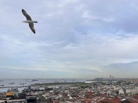 Istanbul - morgendlicher Blick über die Stadt 