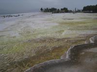 Pamukkale, Kalkterassen
