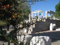 Pergamon