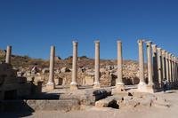 Perge