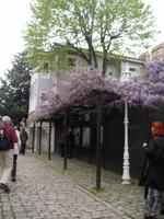 Seitengasse