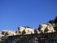 Stiere in Ephesus