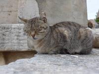 Türkei, Ephesus