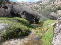 Türkei, Wanderung von Gölyaka zum Kloster