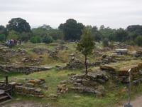 Troja