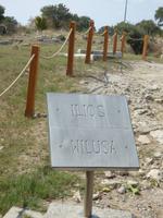 Troja