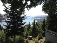 auf dem alten Friedhof