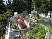 der alte Friedhof