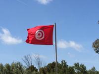 029 Flagge Tunesiens