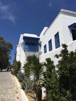 043 Sidi Bou Said