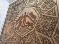 057 Bardo Museum Tunis