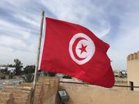 079 Flagge Tunesiens