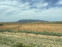 095 unterwegs in Tunesien