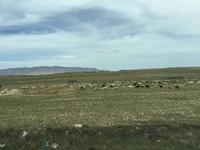 096 unterwegs in Tunesien