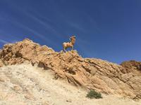 140 Atlasgebirge in Tunesien