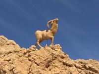 141 Atlasgebirge in Tunesien