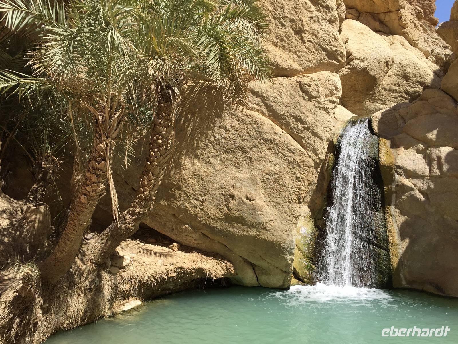 145 Bergoase Chebika