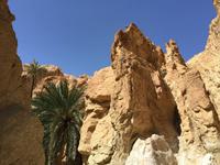 153 Bergoase Chebika