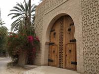 180 in der Oase Tozeur