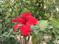 188 in der Oase Tozeur