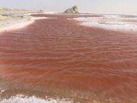 222 Salzsee Chott el Djerid