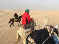 231 Dromedar-Ausritt