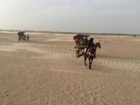 232 mit der Kutsche in die Wüste