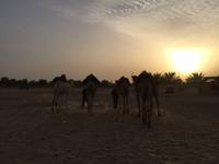 236 Sonnenuntergang in der Sahara