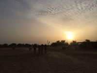 237 Sonnenuntergang in der Sahara