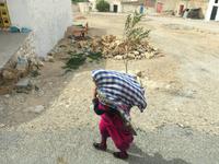 244 der tunesische Süden