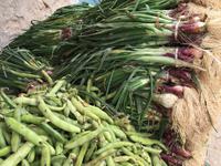 282 Gemüsemarkt in Medenine