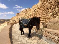 306 Berberdorf Chenini