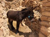 321 Berberdorf Chenini