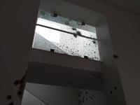 IMG_0137