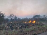 Abbrennen der Gräser, Murchison Falls NP, Uganda
